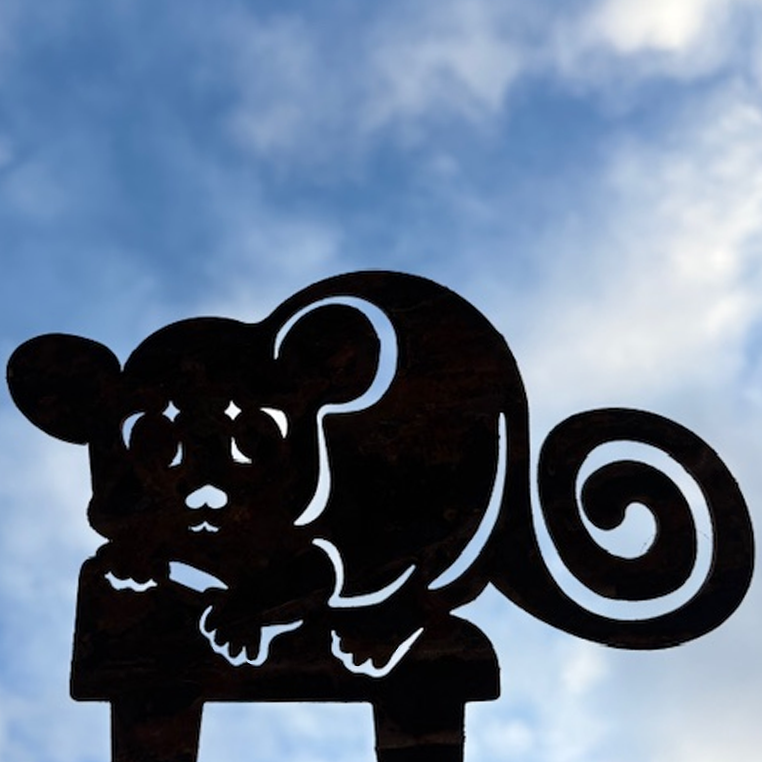 mountain pygmy possum.png