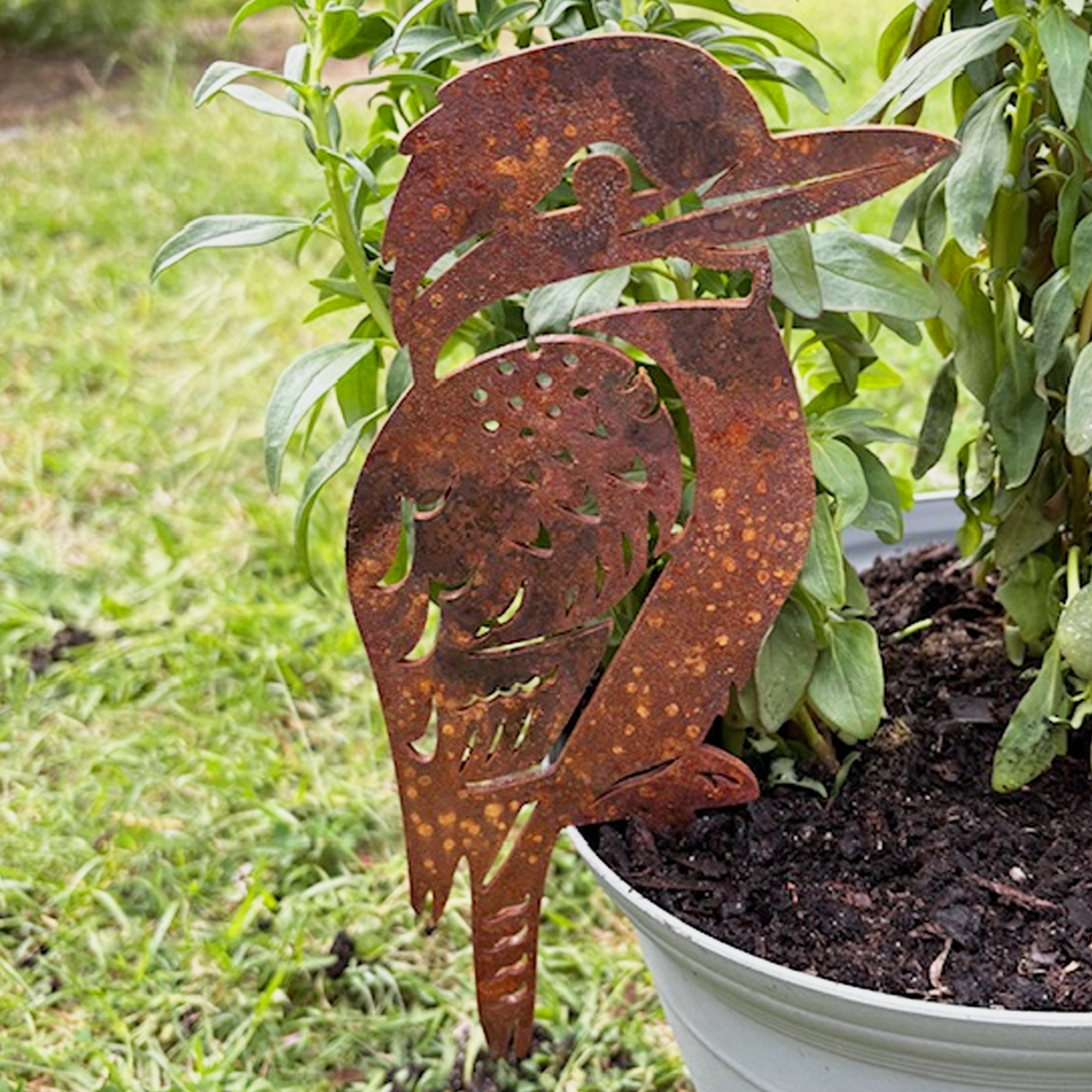 Rusty metal Kookaburra garden decoration in a potted plant with green leaves