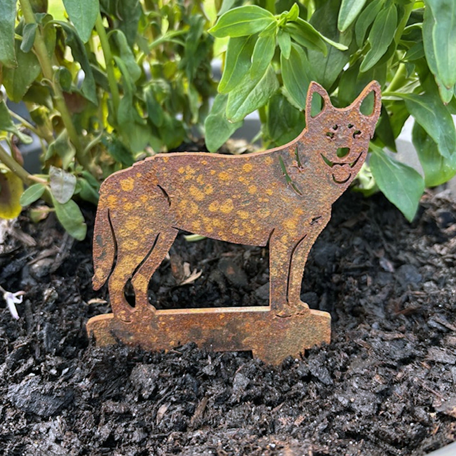 Corten steel metal Blue Heeler dog garden sculpture in potted plant.
