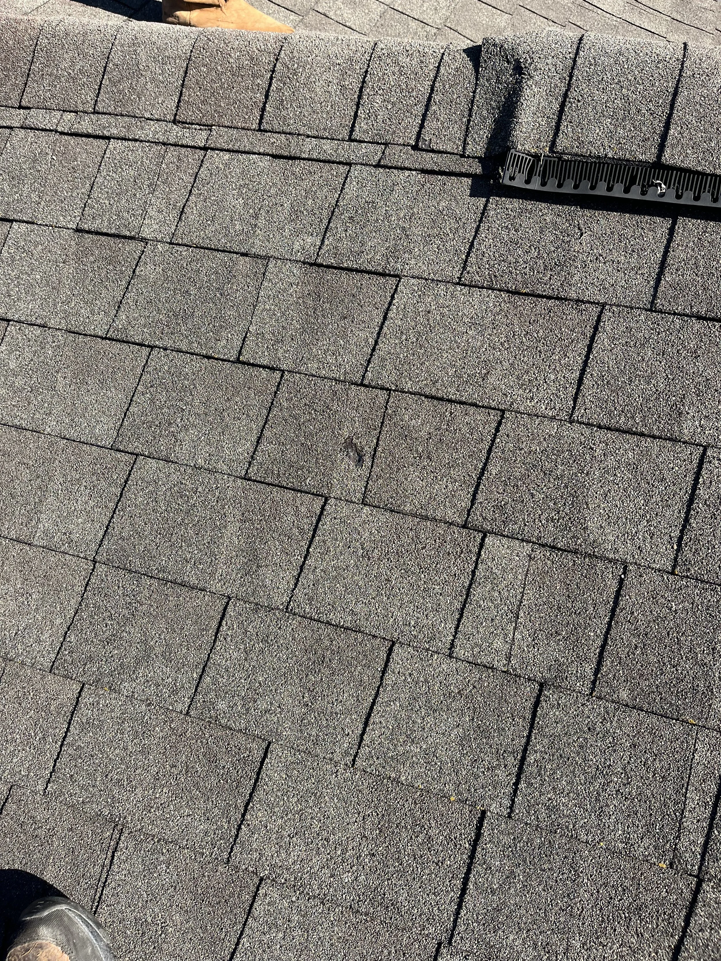 IMG_1893.jpeg