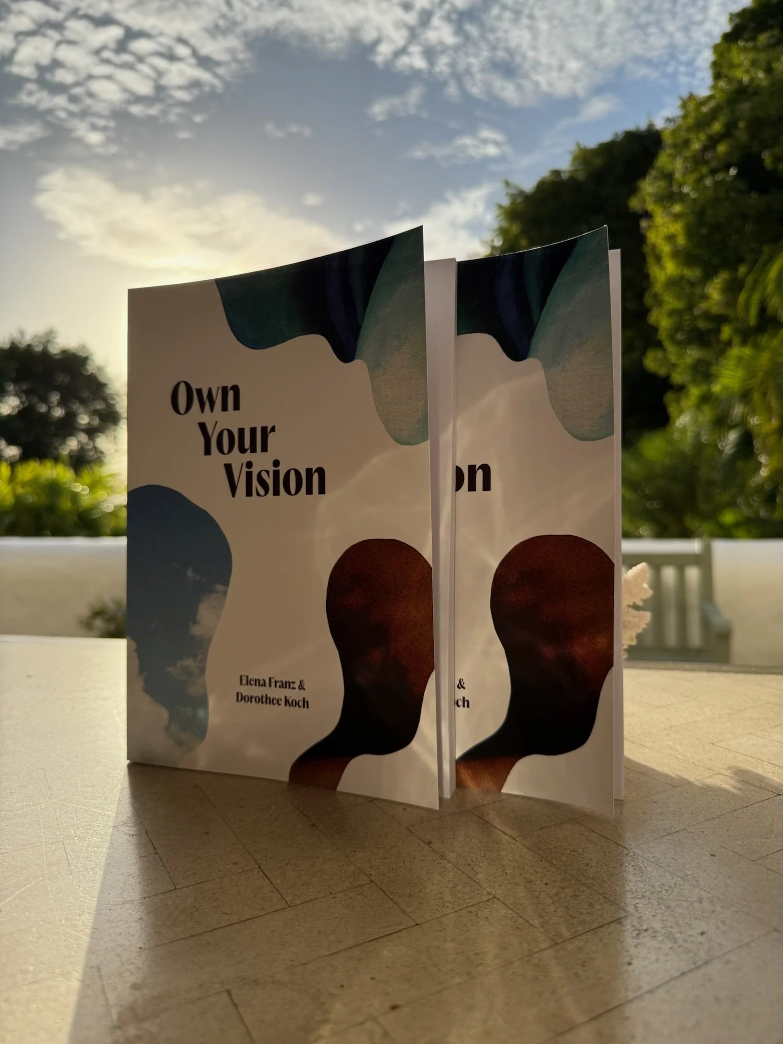 Book titled 'Own Your Vision' by Elena Franz and Dorothee Koch, standing outdoors on a table with trees and sky in the background.