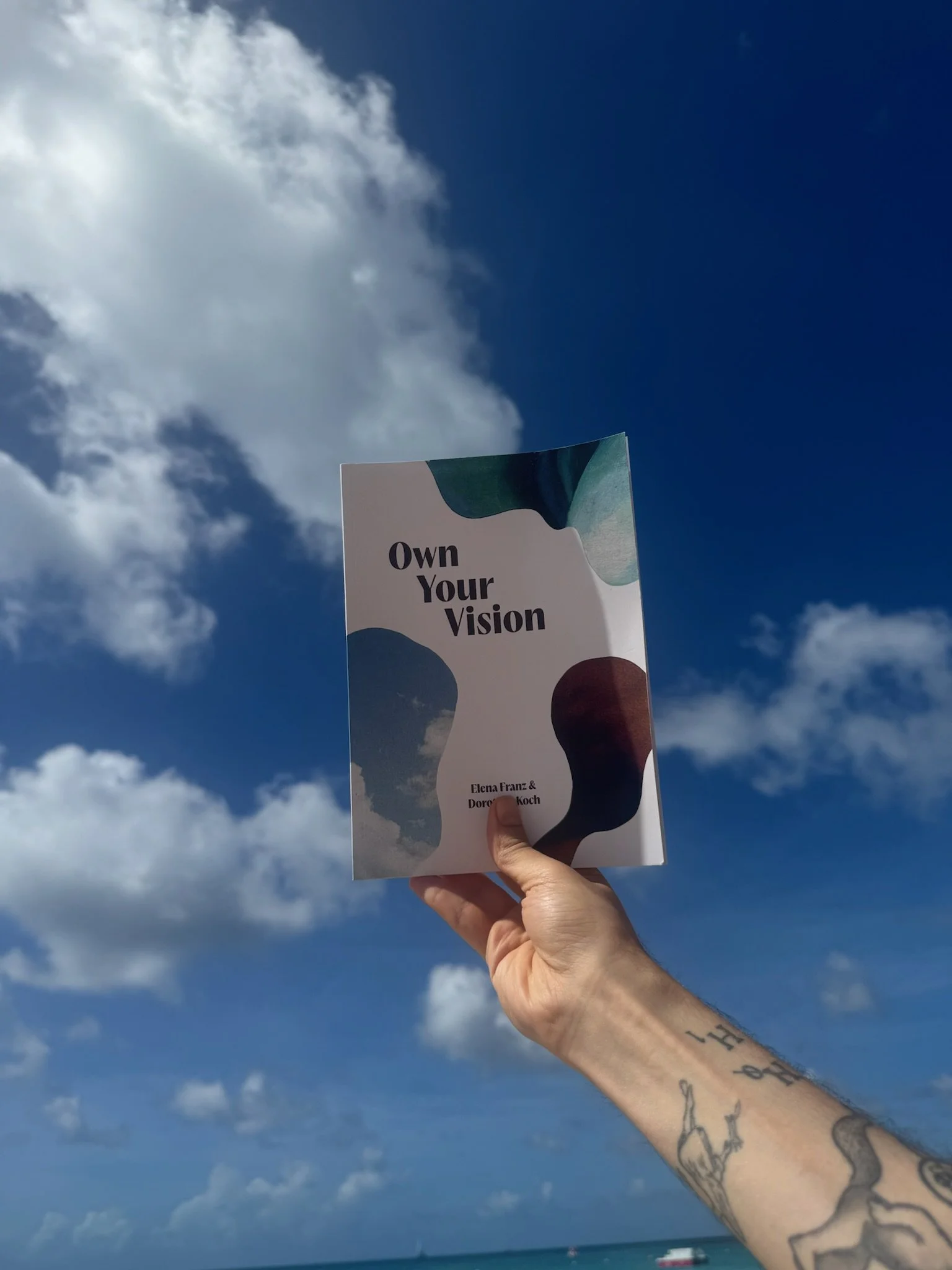 A hand holding a book titled "Own Your Vision" against a background of a blue sky with clouds.