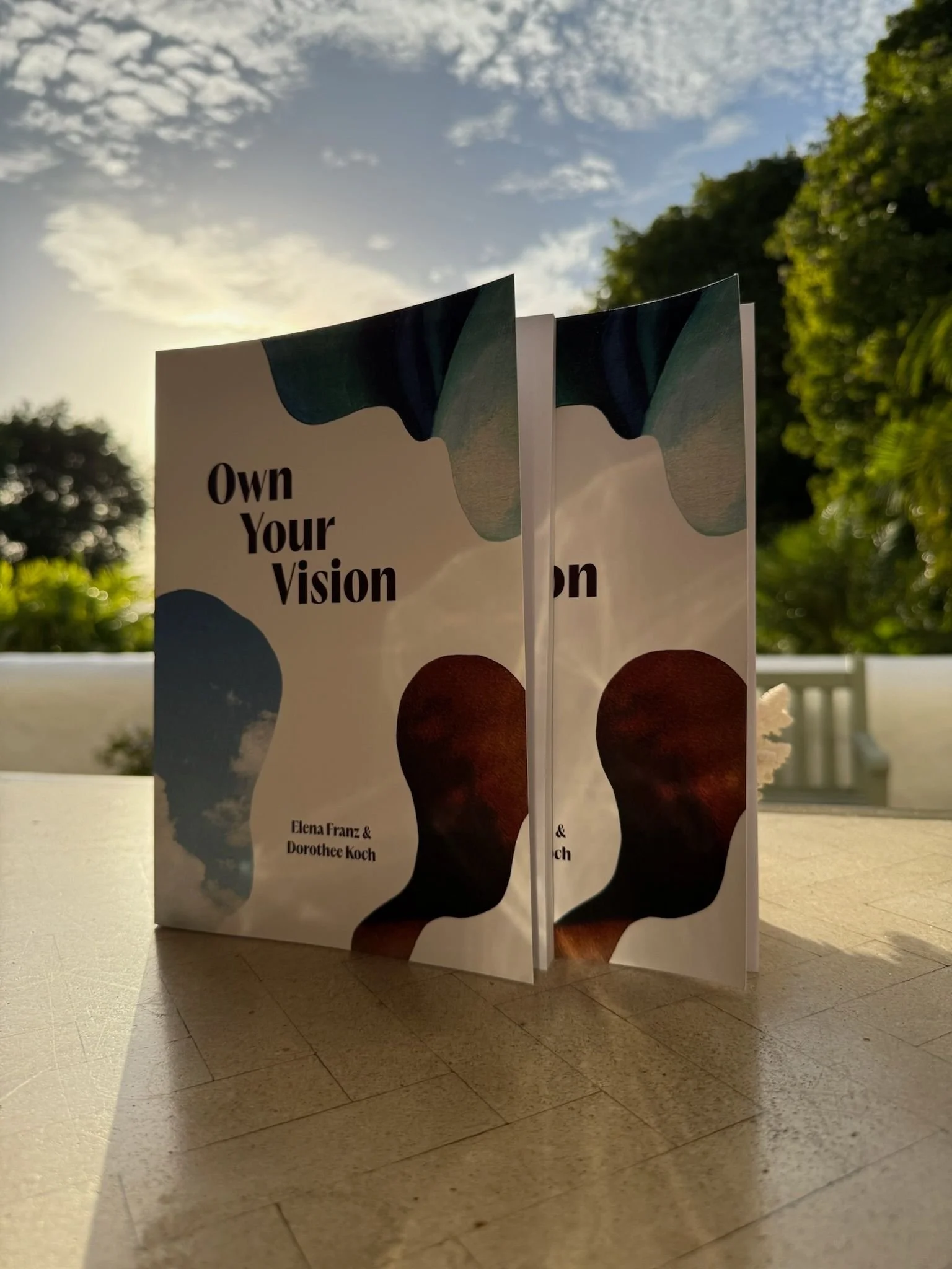 own-your-vision-book-shot.jpg