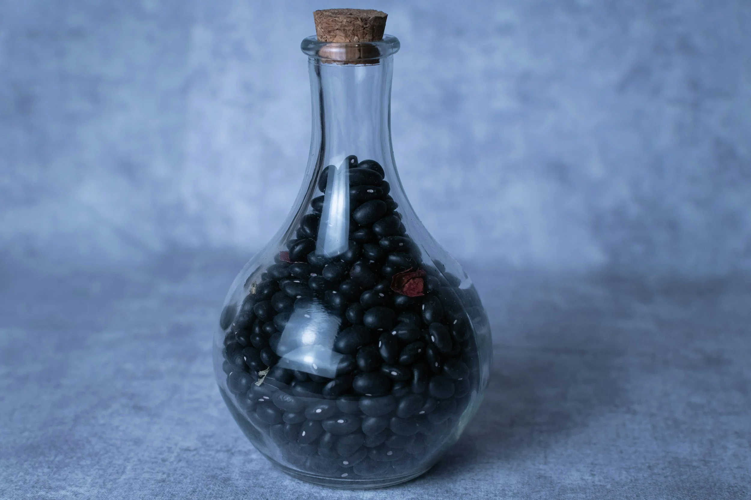 How to Cook Dried Black Beans