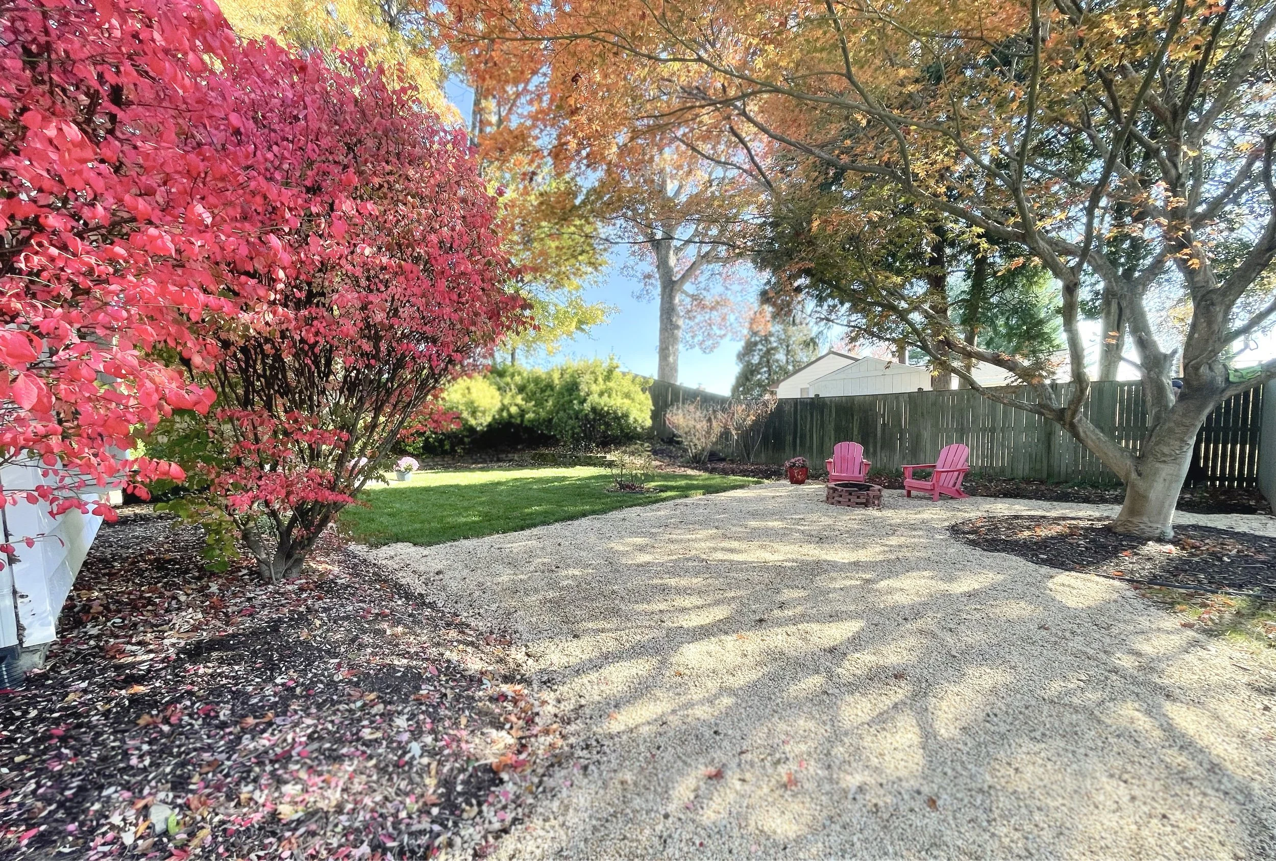 backyard1.jpg