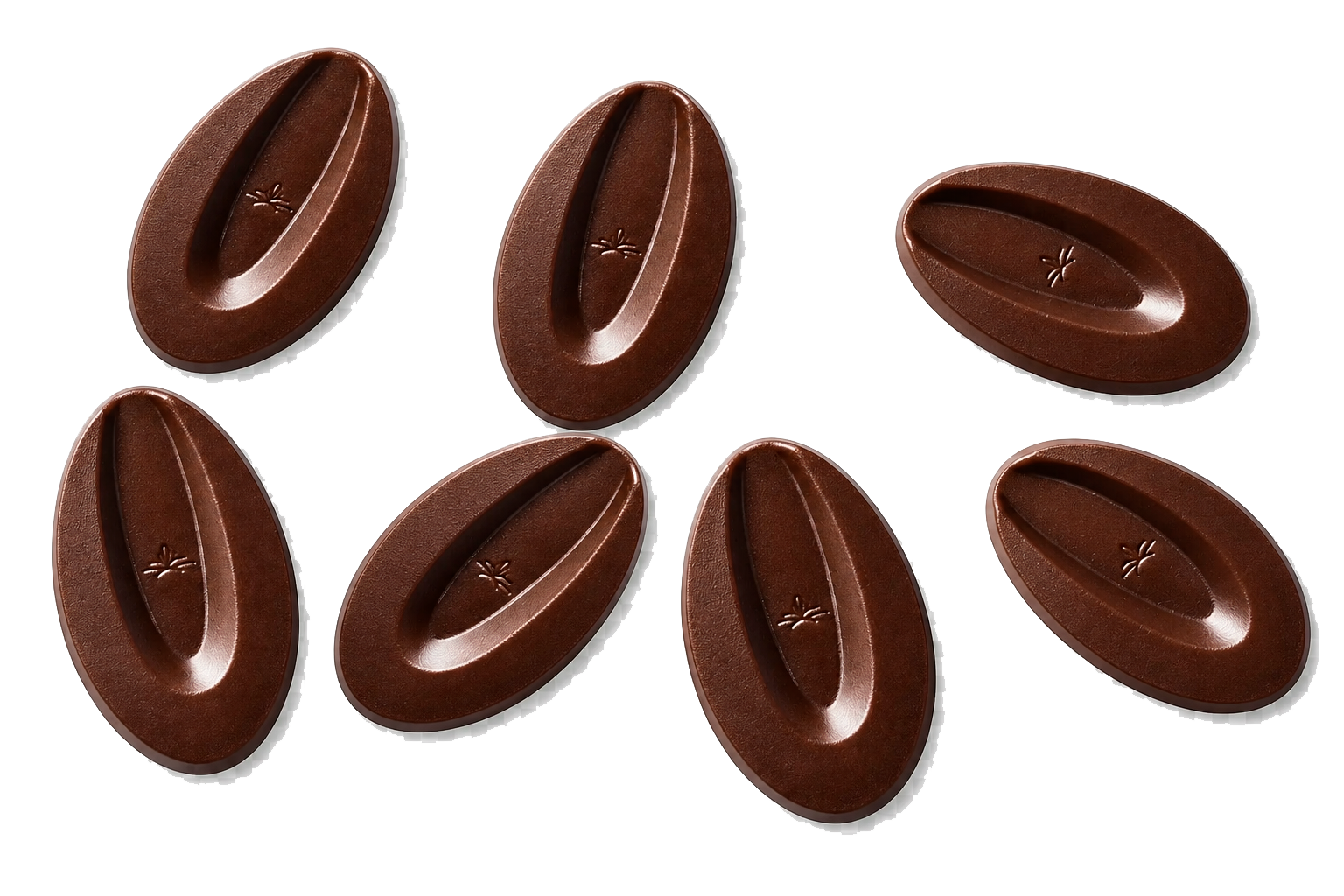 7 Pieces of chocolate from Valrhona