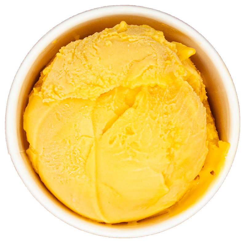 A cup of yellow vanilla ice cream.