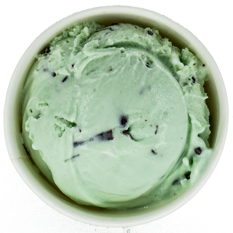 A cup of mint chocolate chip ice cream with visible chocolate chips.