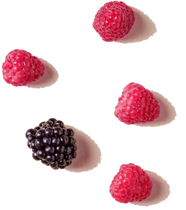 Five berries, four raspberries and one blackberry, on a pink and black background.