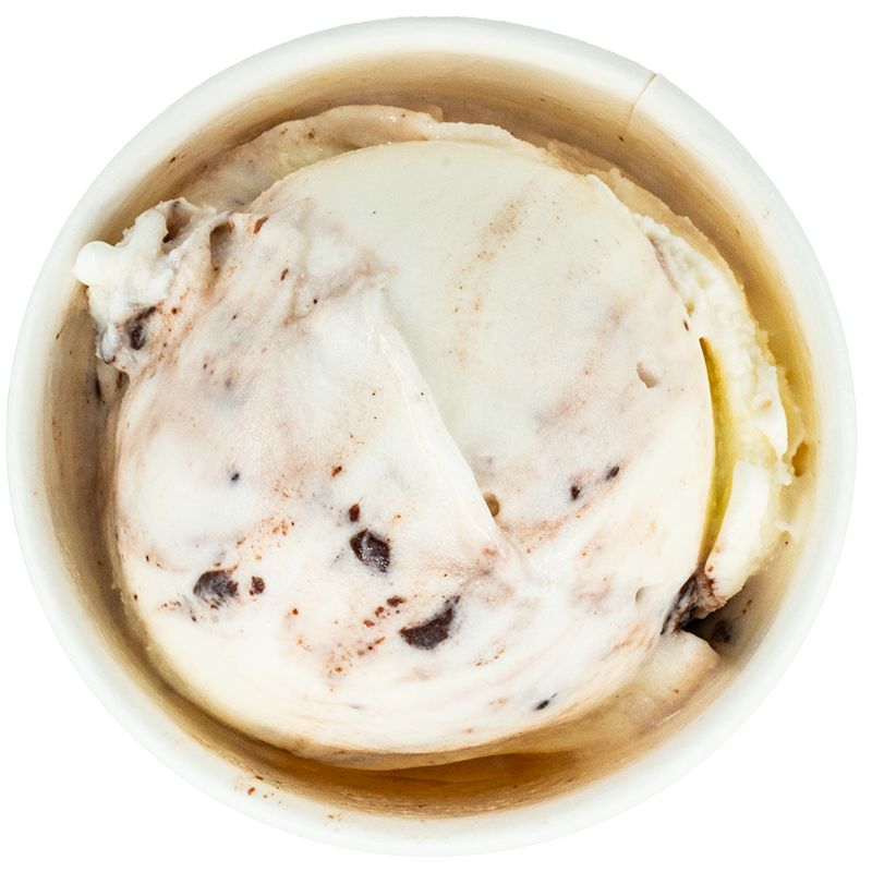 A bowl of vanilla ice cream with chocolate chips.