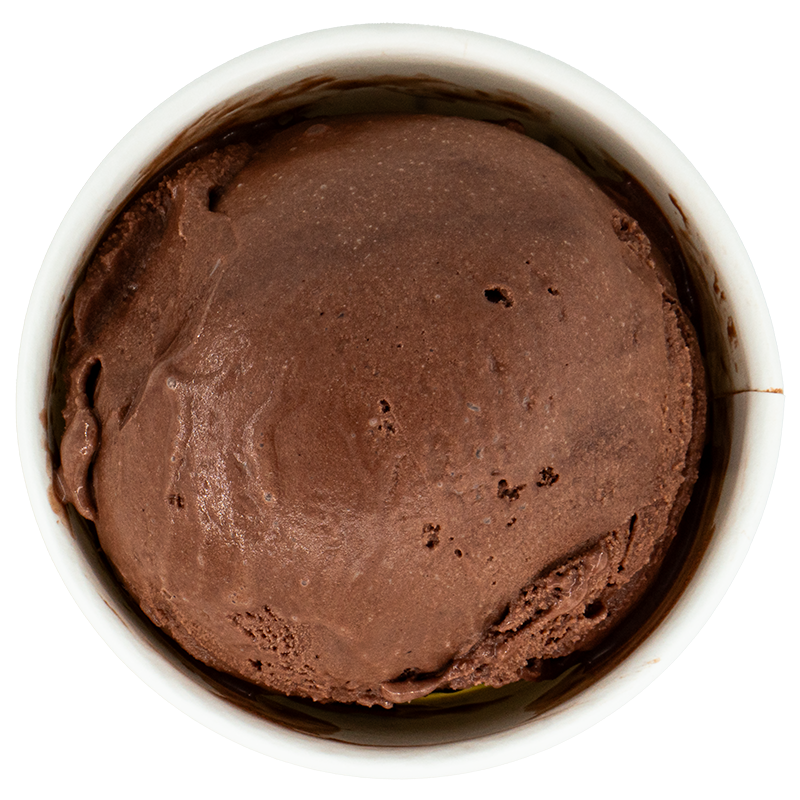 A scoop of chocolate ice cream in a white bowl.