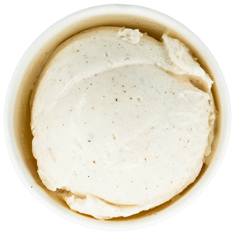 A cup of vanilla ice cream with visible specks of vanilla bean.