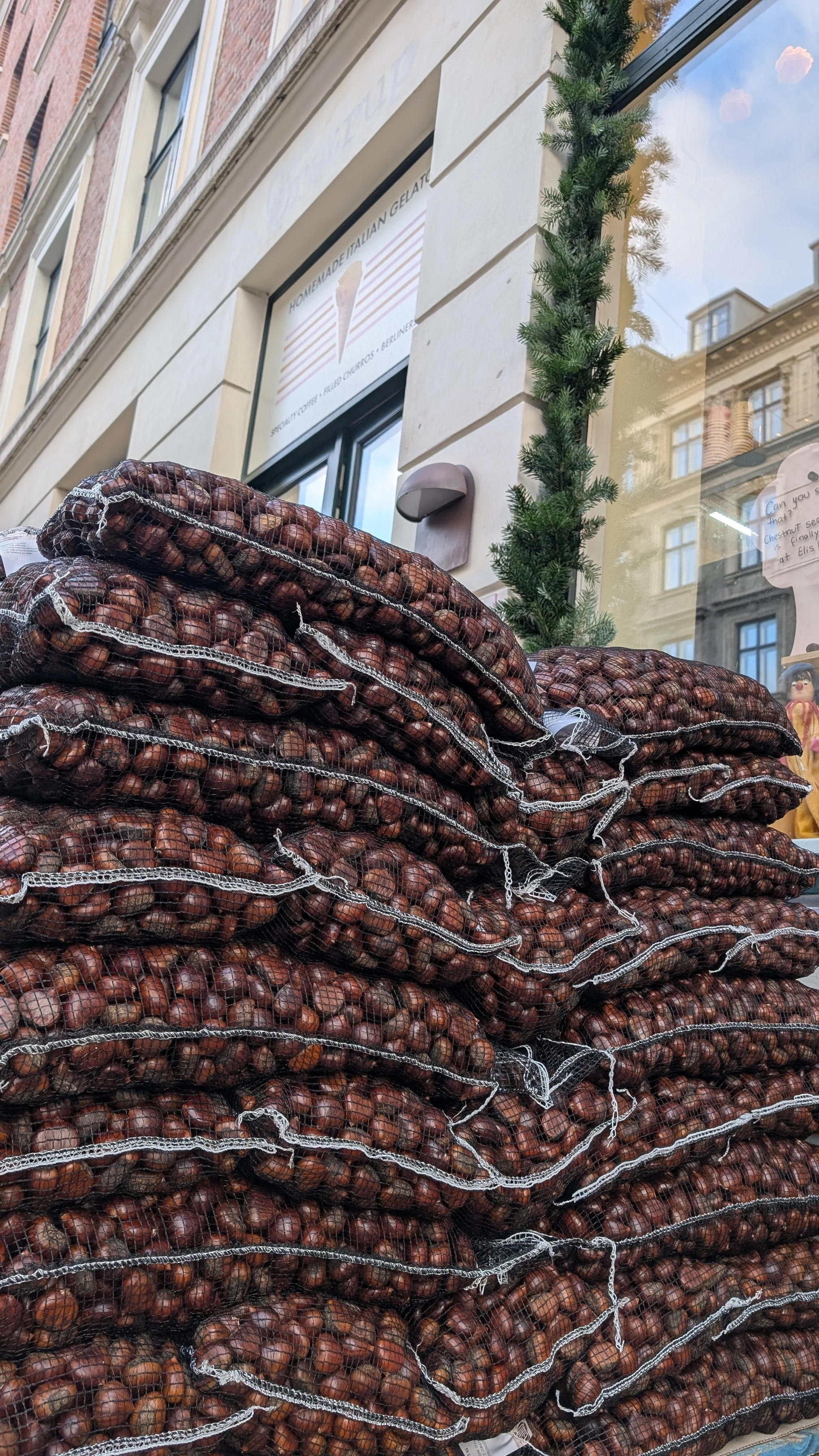 Kastanjer 10kg
