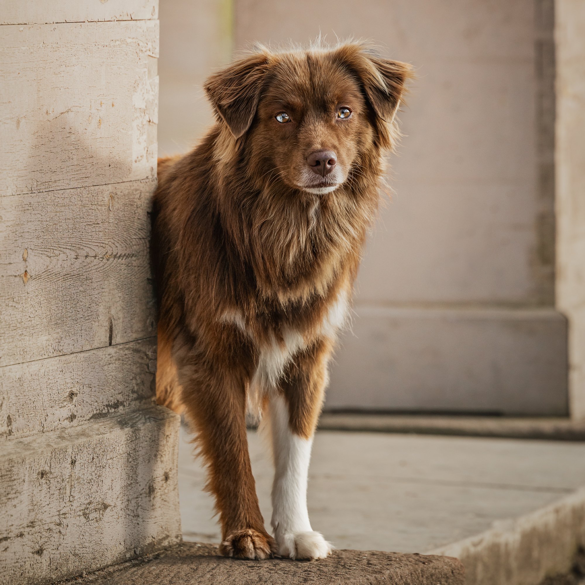 _F4A4645 instagram square.jpg