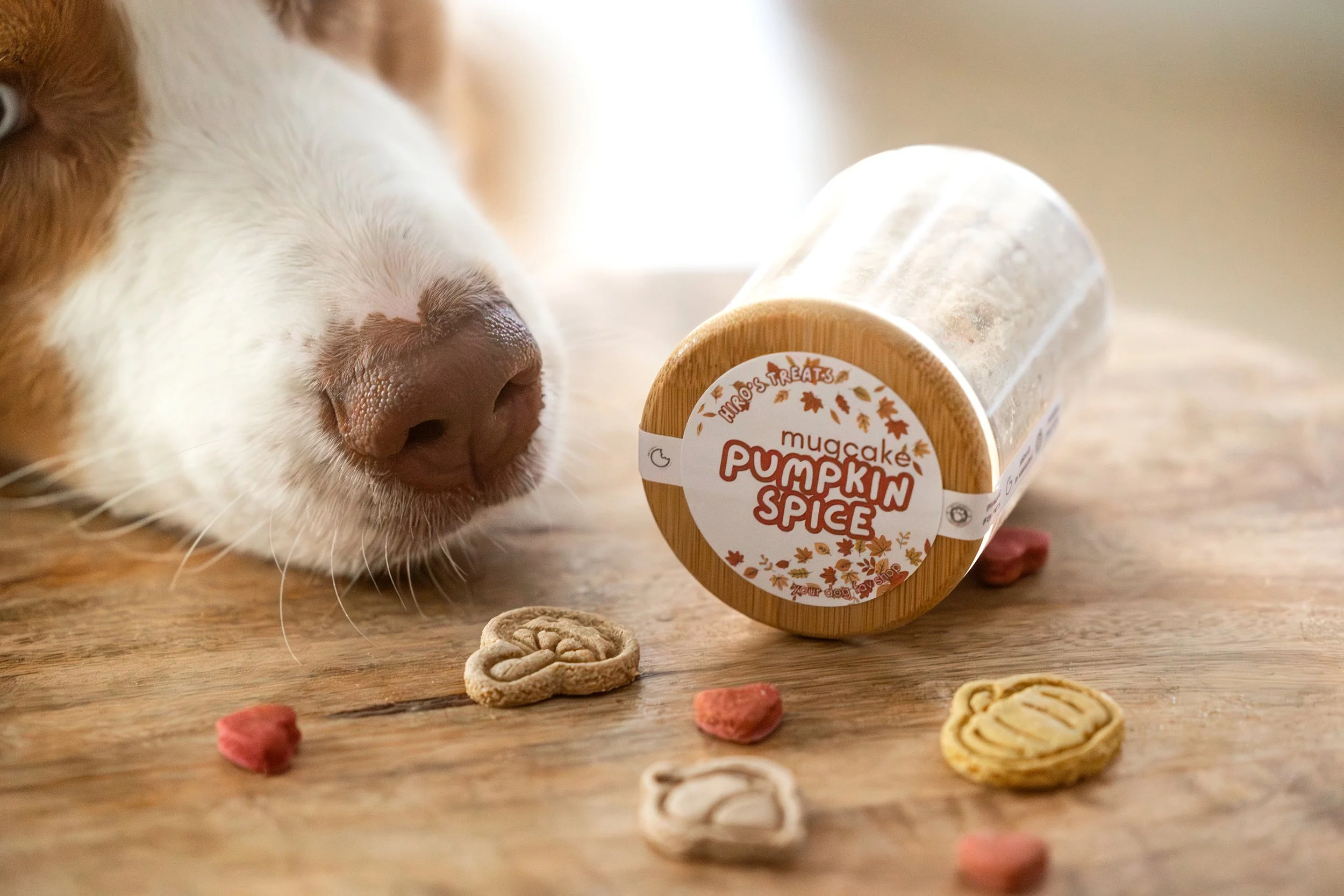 _F4A9277-Enhanced-NR (1).jpg