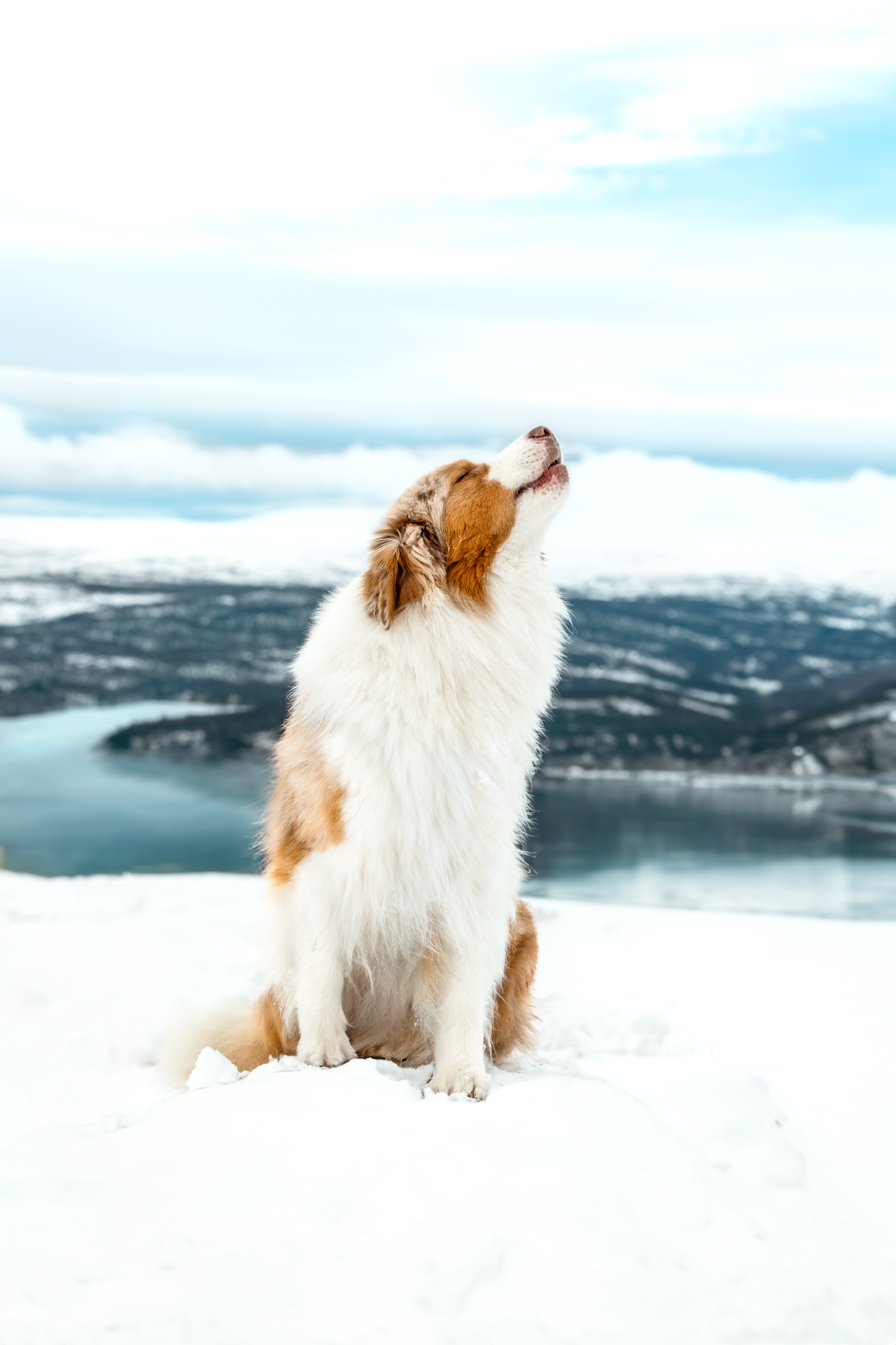 _F4A0442-Enhanced-NR-Recovered (2).png