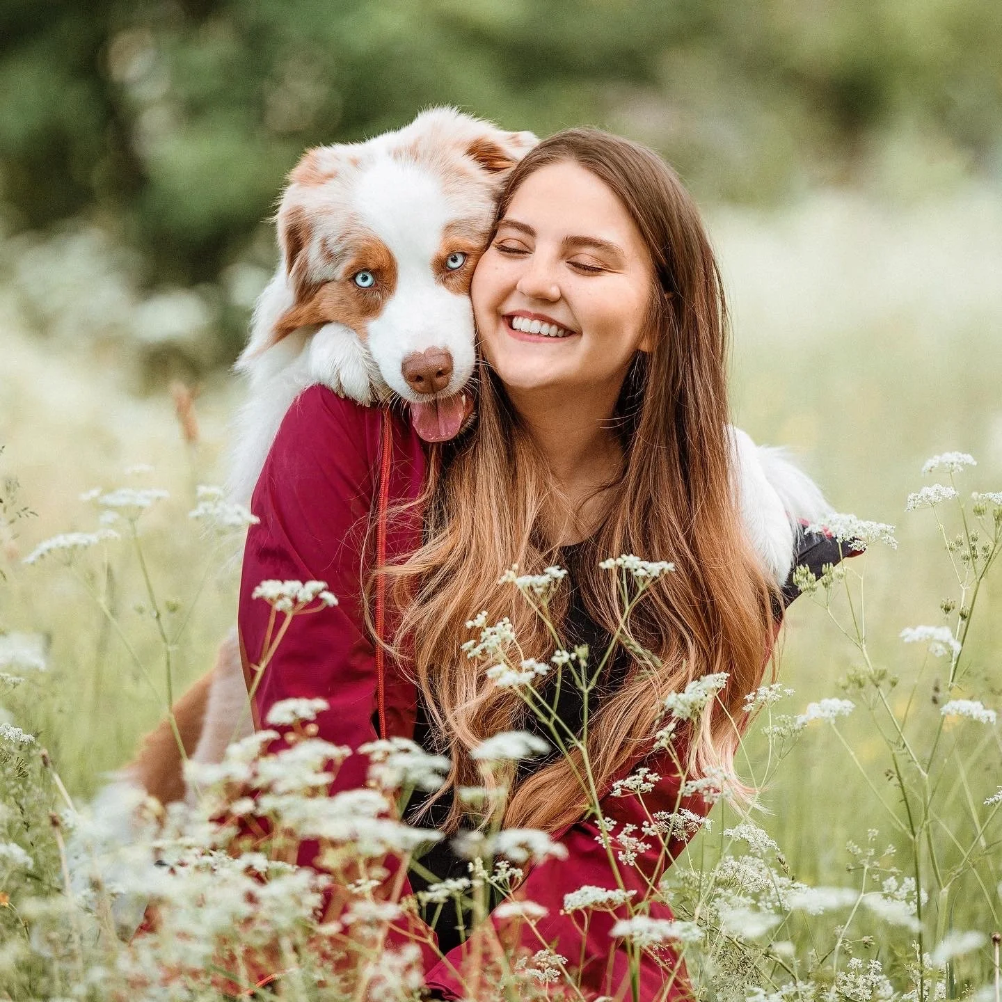 A woman with long brown hair smiling with her eyes closed, sitting in a field of white flowers, with an Australian Shepherd dog resting its head on her shoulder, looking at the camera with bright blue eyes.