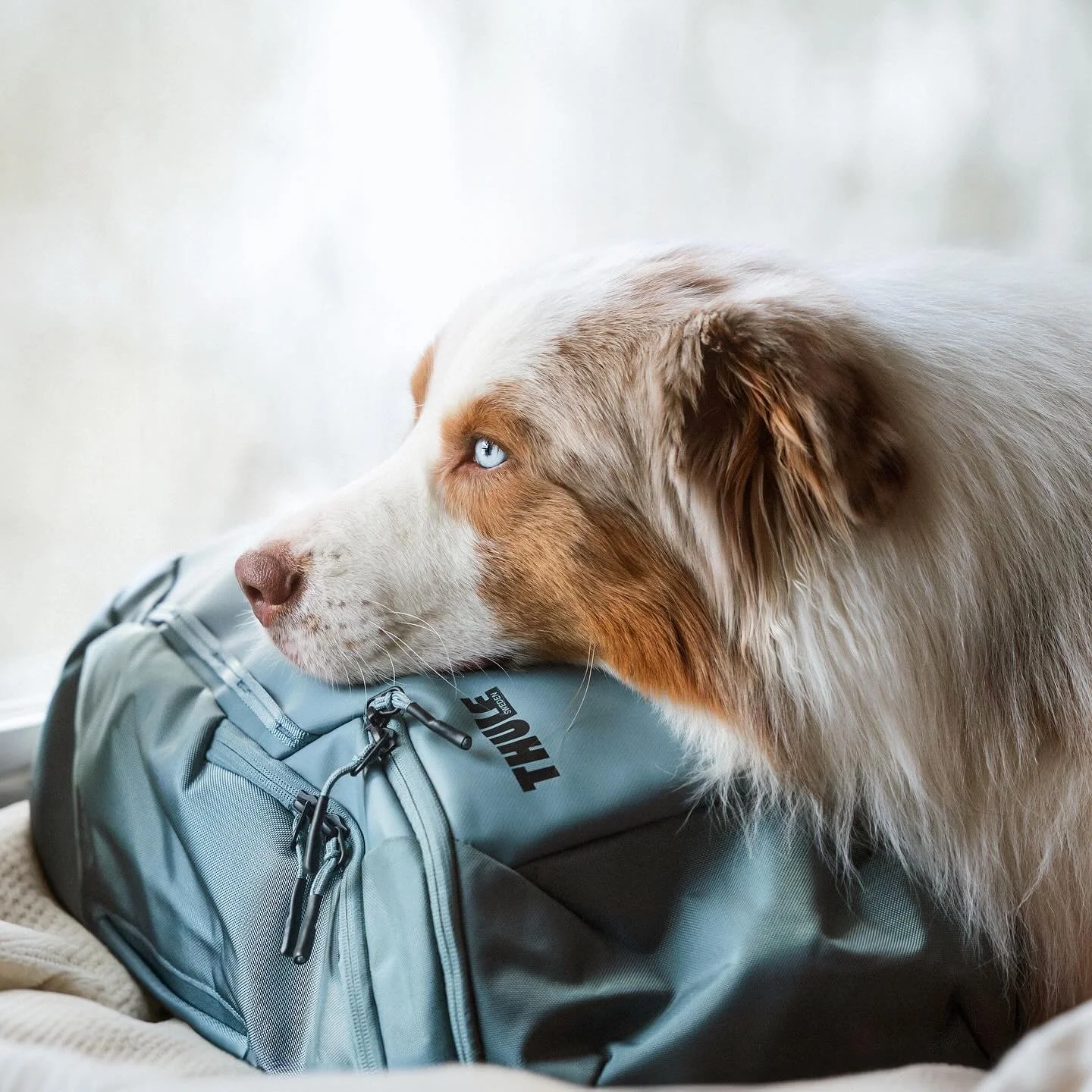 C7205290-BA8F-445D-AC7F-DA485FFCB92A (1).JPG