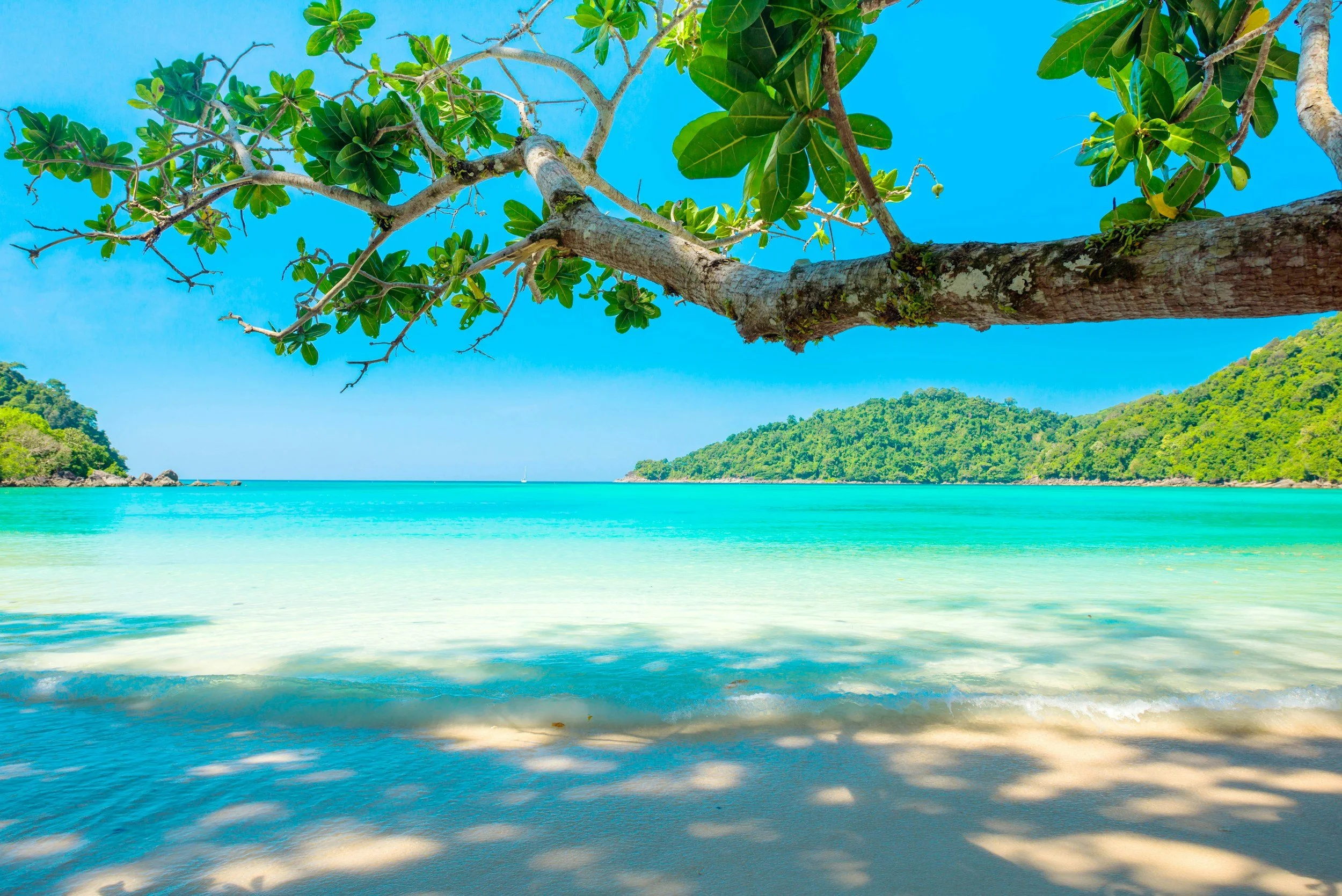 Tropical beach with turquoise water, white sand, green hills in the background, and a tree with green leaves in the foreground.