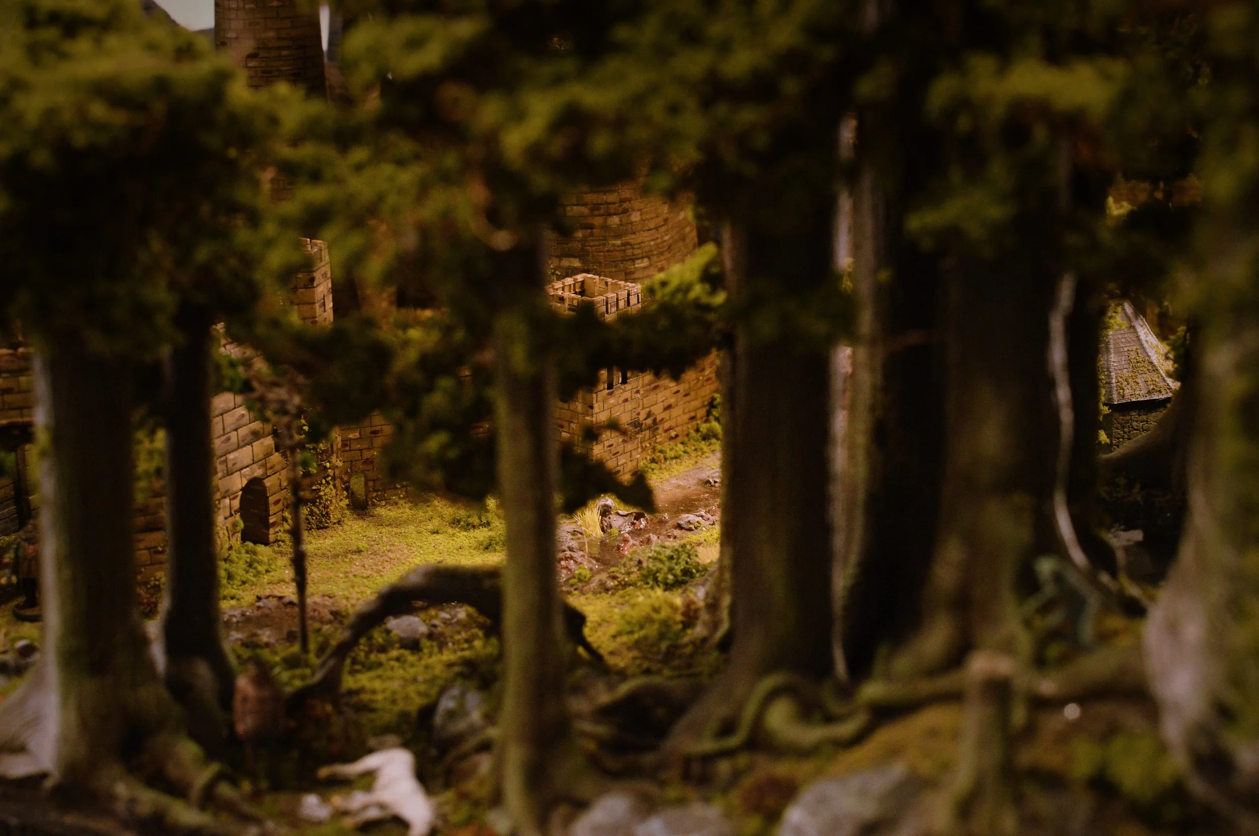 _DSC0311.jpg