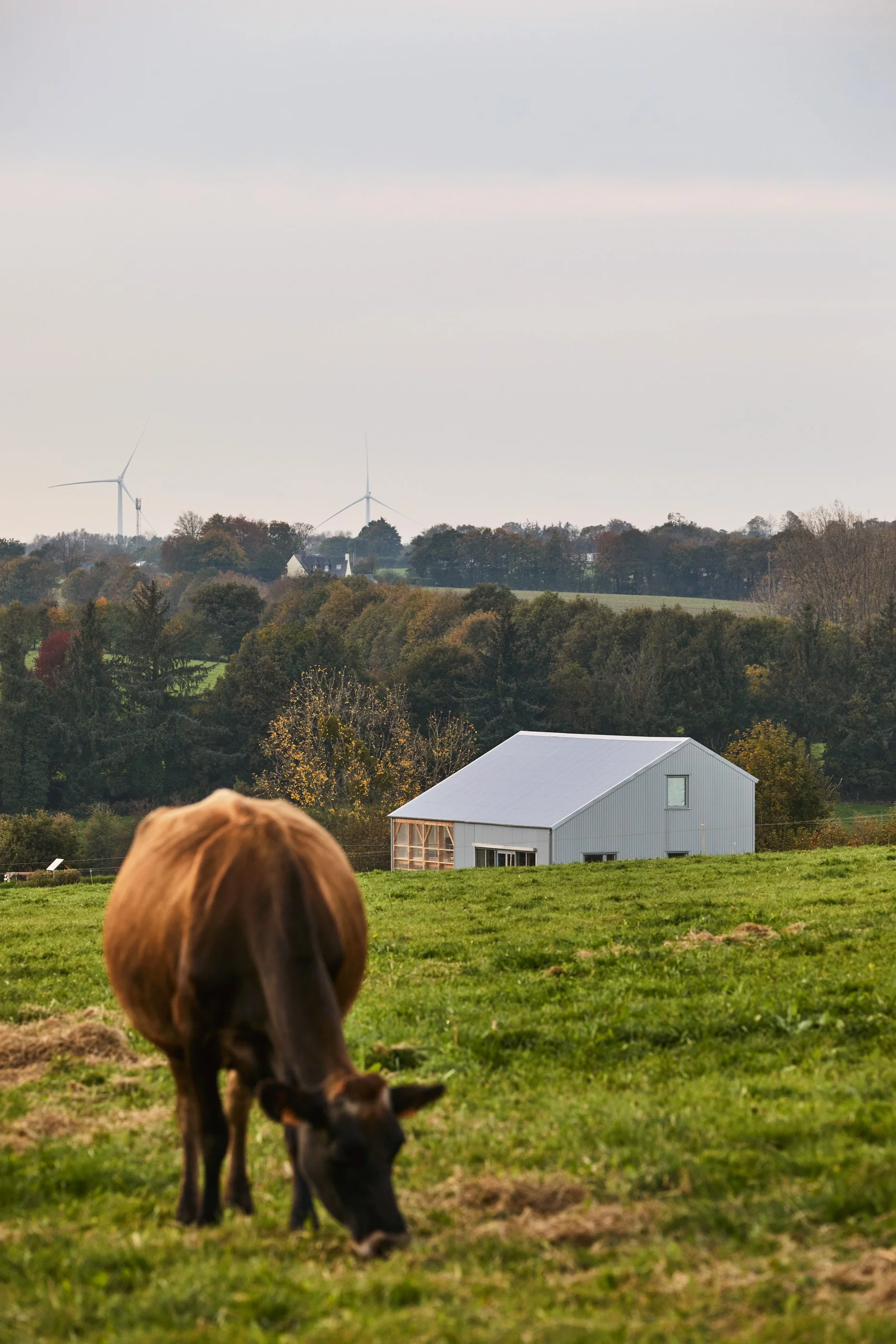 MARWA ARCHITECTURE _PROJET GRANGE LOUDÉAC_WEB-11.jpg