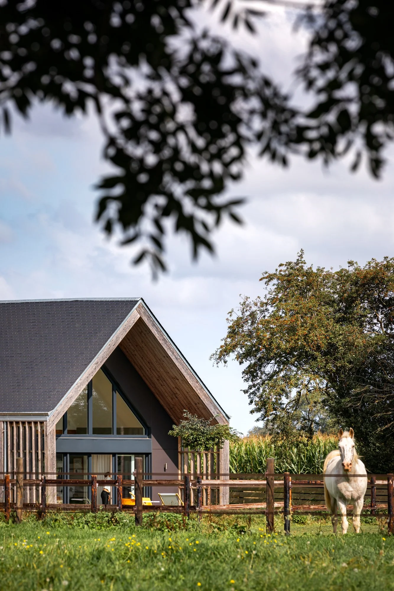 MARWA ARCHITECTURE_MAISON GLT_WEB-2.jpg