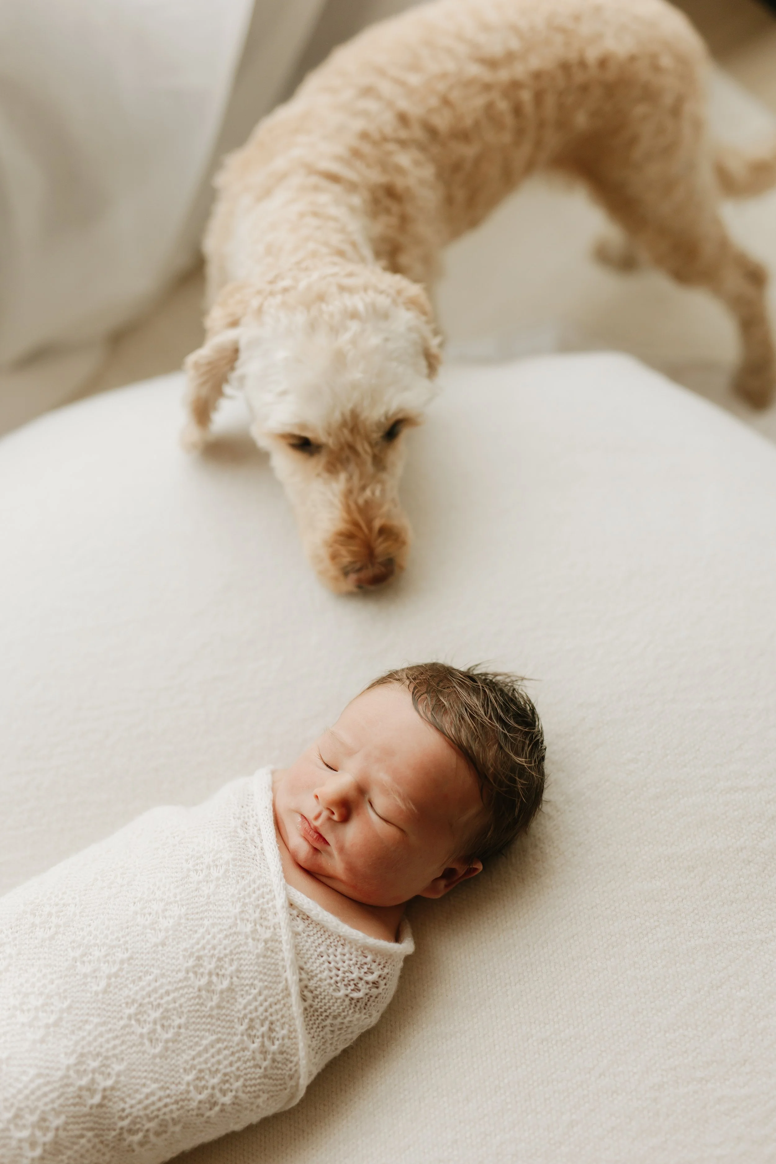 Southampton Newborn photographer 