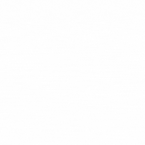 Blank white background with no objects or details.