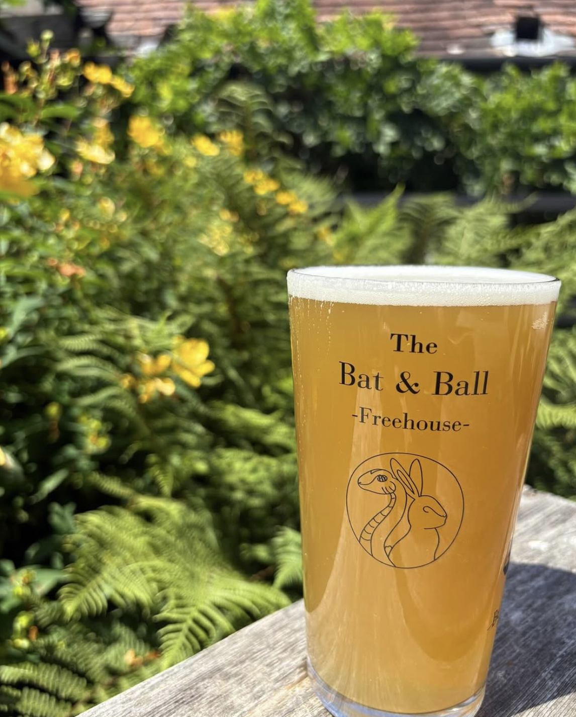 Don’t miss the BatFest Beer Festival