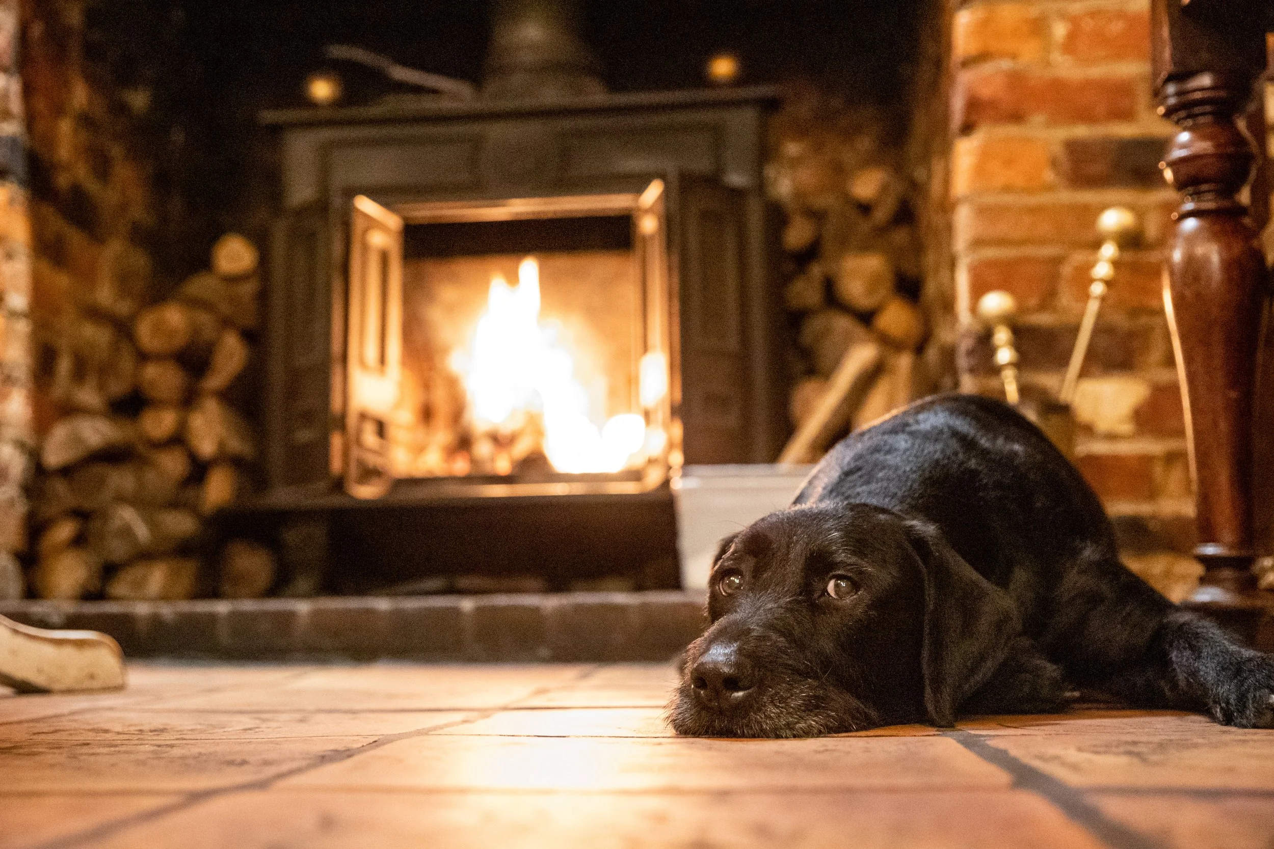 A black dog lying on a tiled floor in front of a lit fireplace with logs and flames, cozy and warm indoor setting.