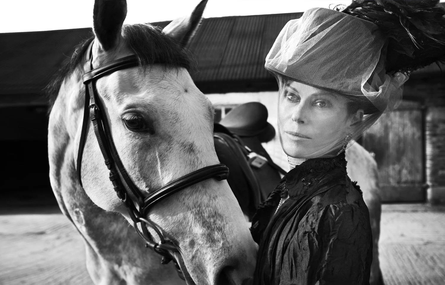 The Allure of Horses (18)