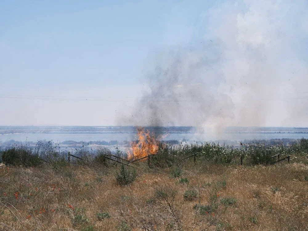 Margherita di Savoia, Puglia (2021)