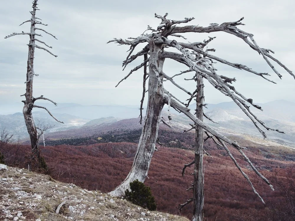 Giardino degli Dei, Basilicata (2020)