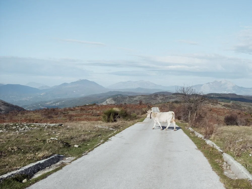 Messana Salice, Basilicata (2020)