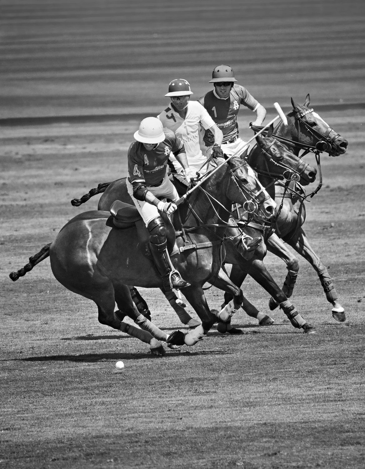 Cowdray Park, West Sussex (2013)