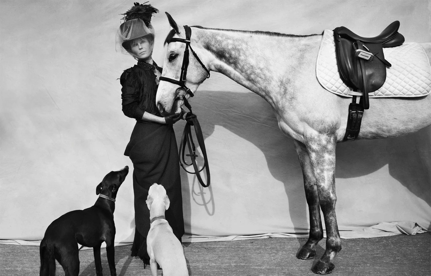 Lady Amanda Harlech, Shropshire (2013)