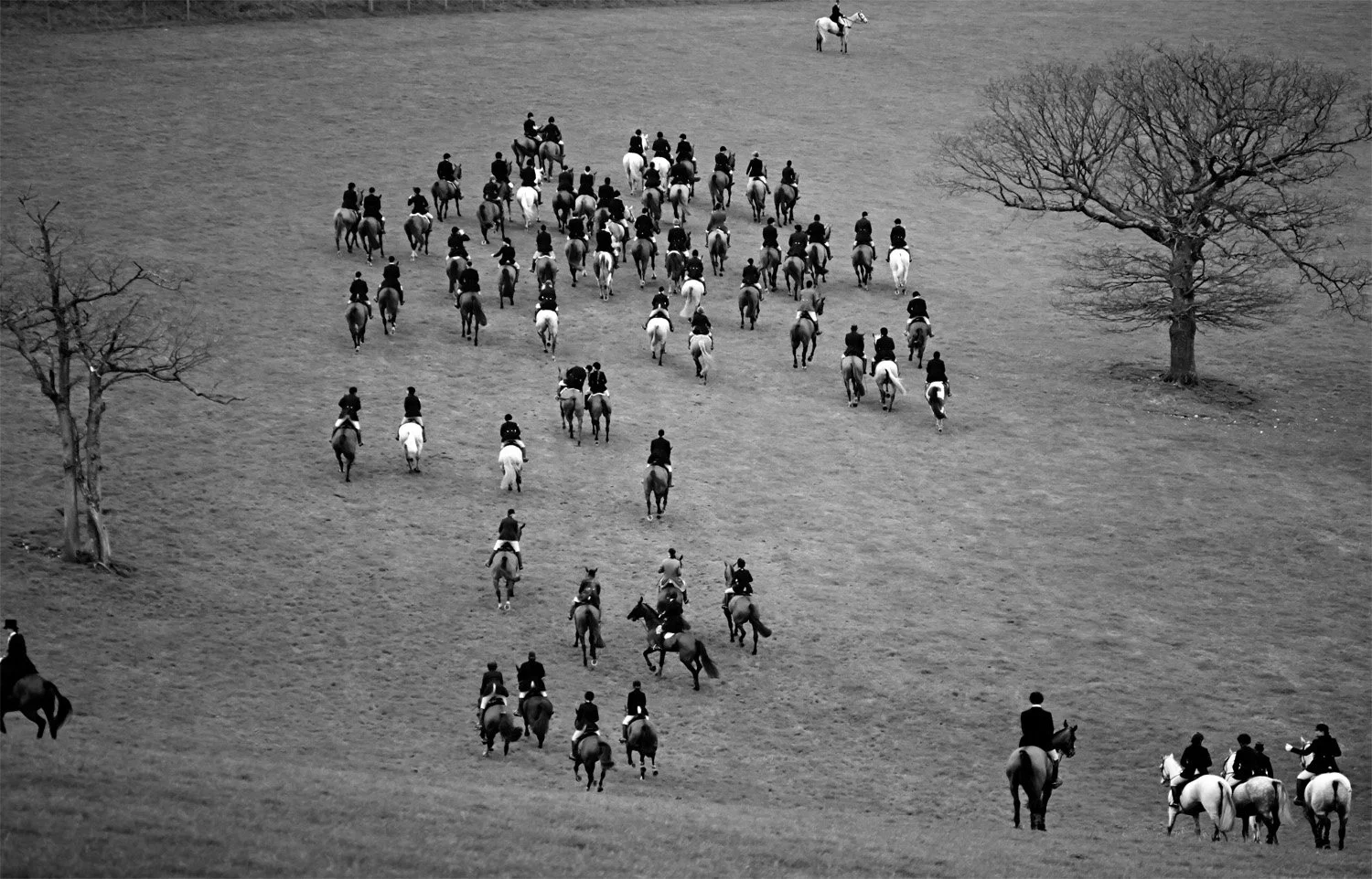 The Charlton Hunt (2013)