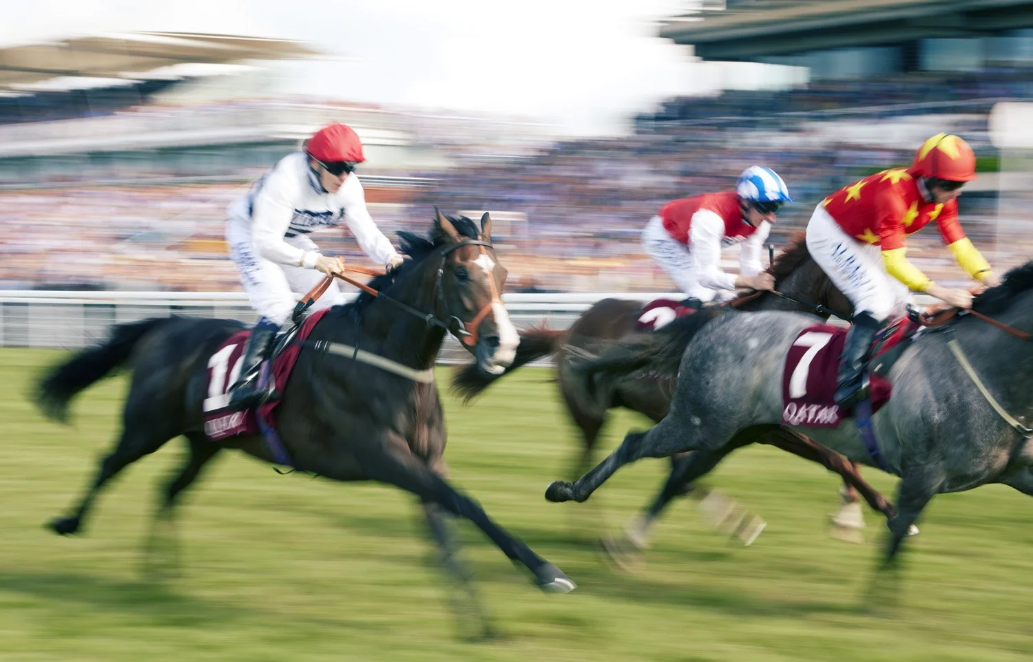 Goodwood Festival, Stallions Maiden Stakes (2013)