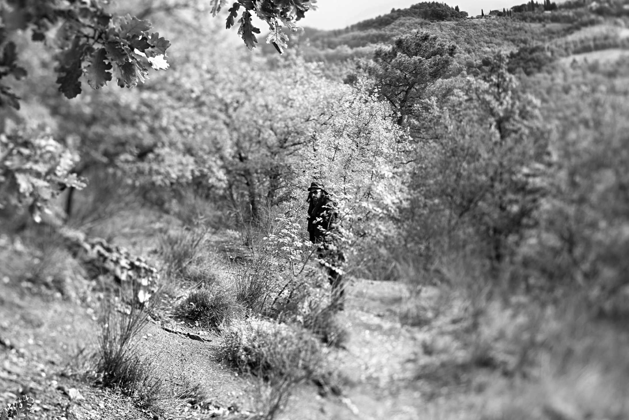 Damian Lazarus (2015) 