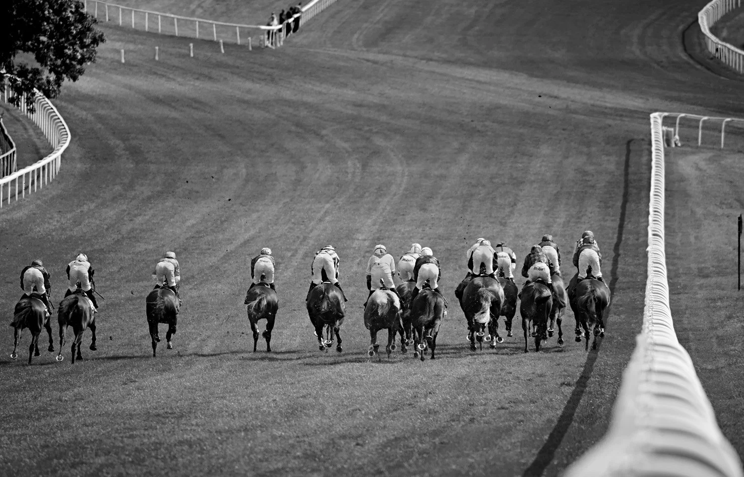 Goodwood Festival, The Mile (2013)