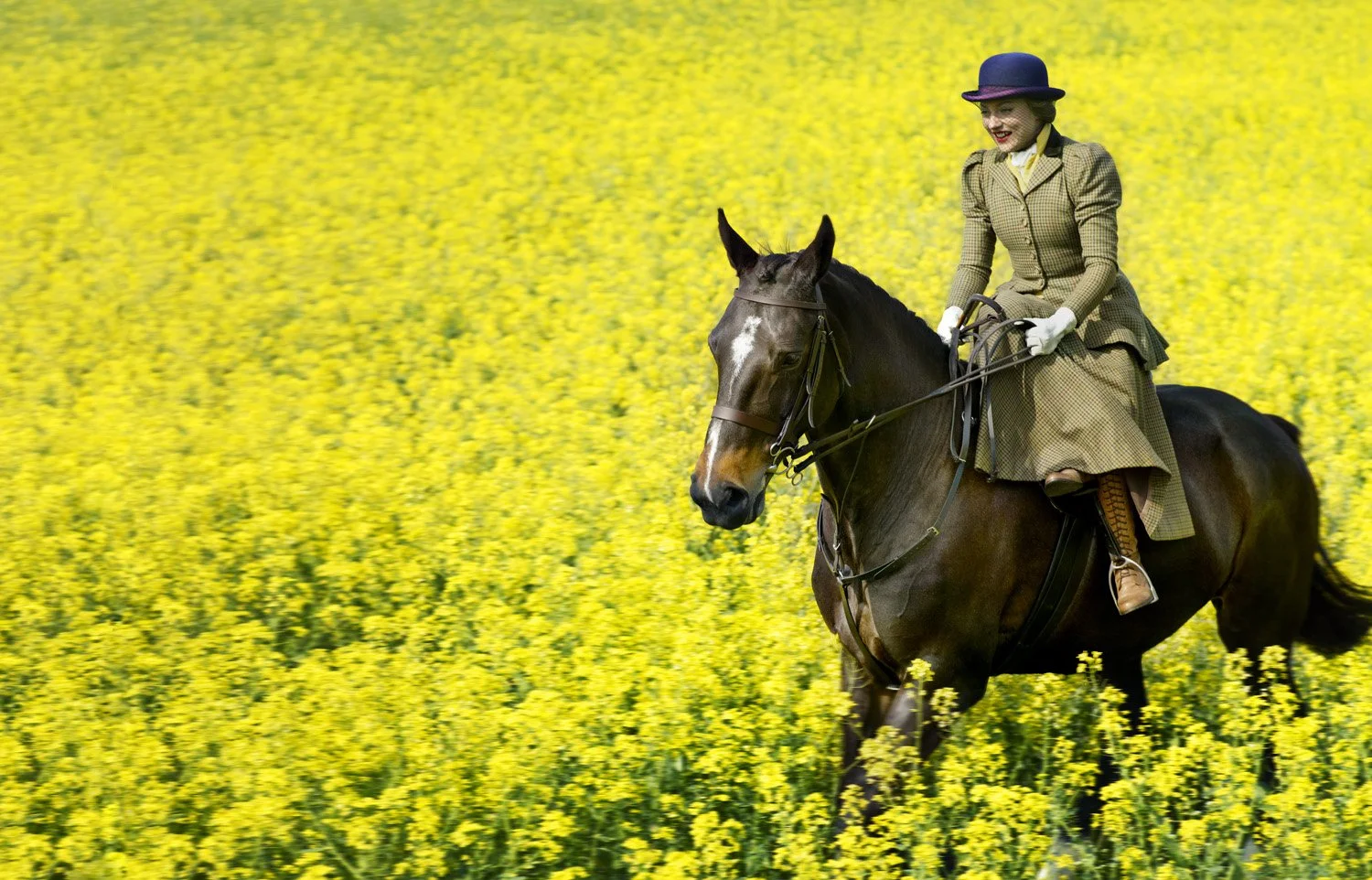 Lady Martha Sitwell, Pylewell Park, Lymington (2013)