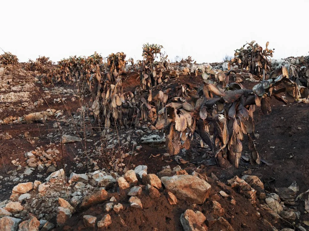 Marina di Andrano, Puglia (2022)