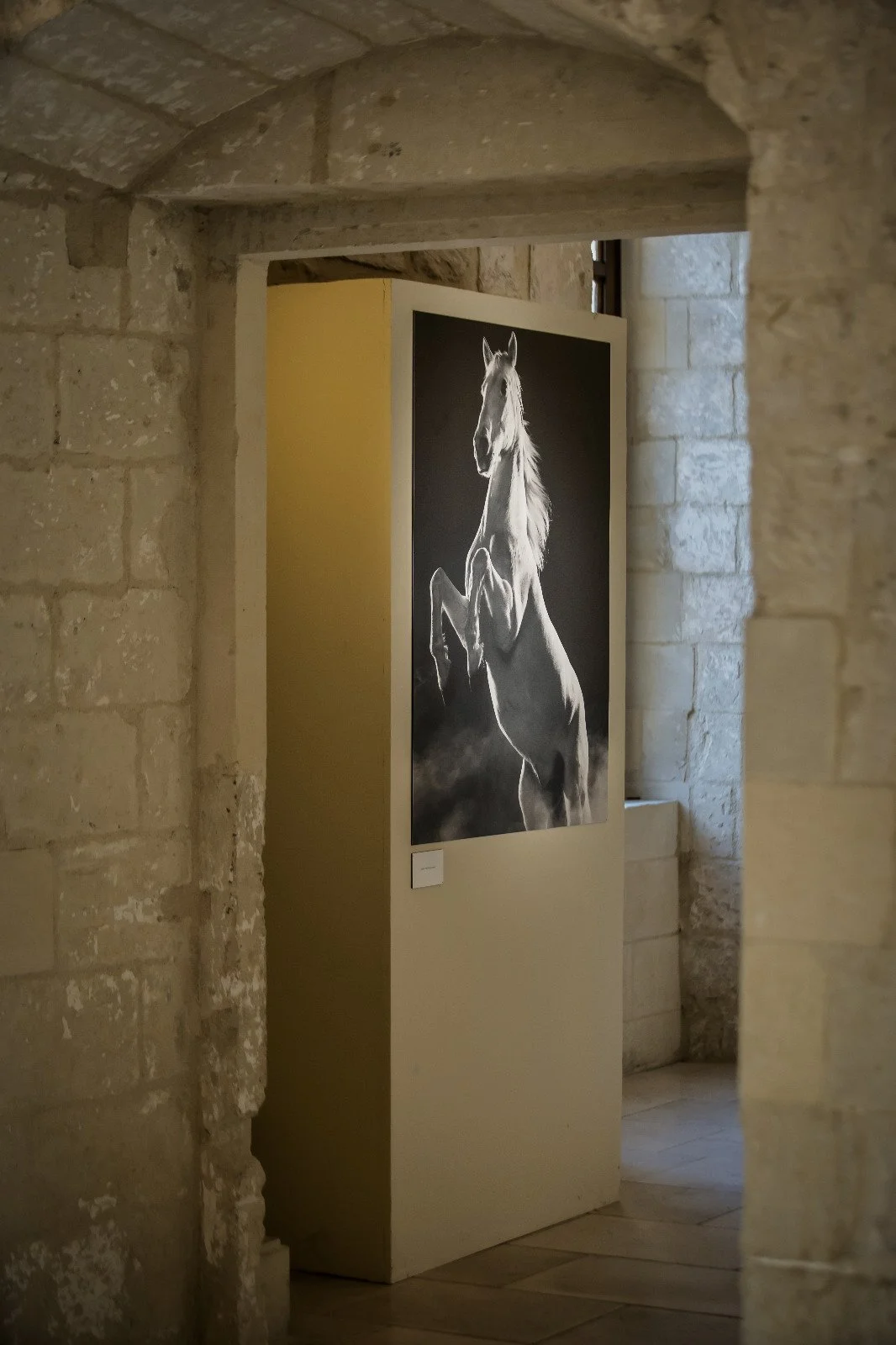 Castello Carlo V, Lecce, Italy. (2019)