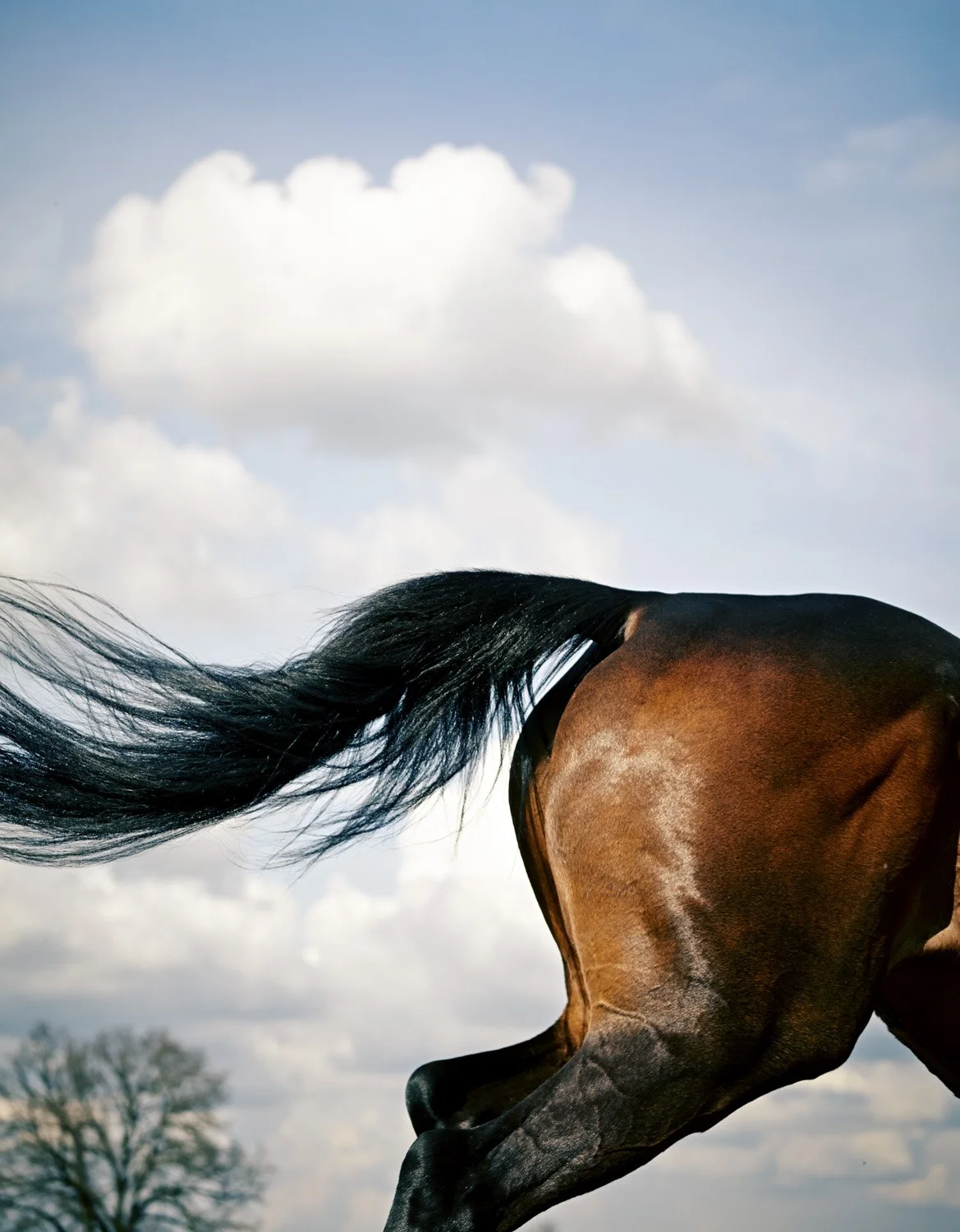 Leafy Arbour, Surrey (2013)