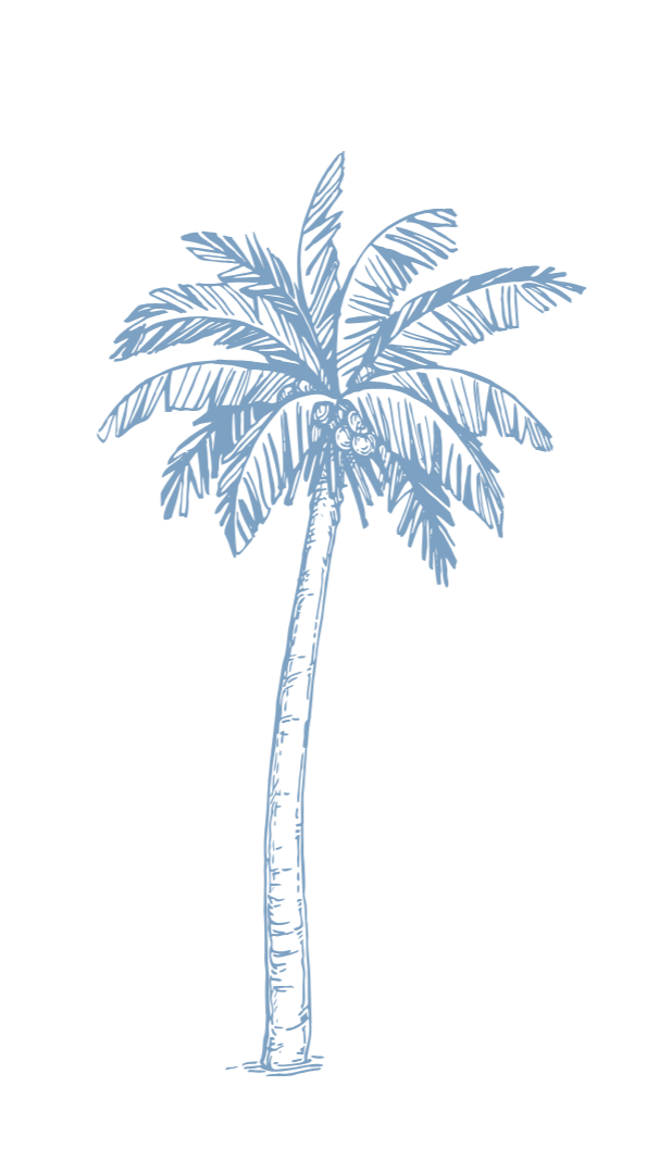 Sketch-style palm tree in blue.