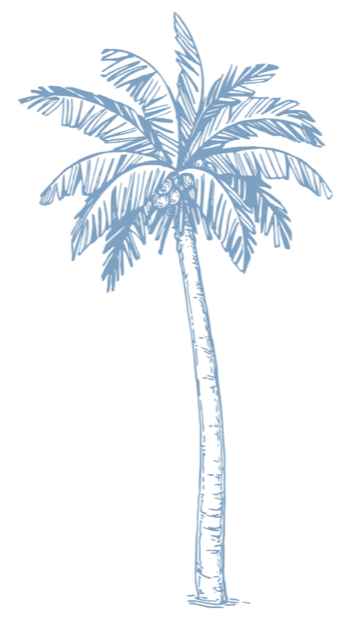 Sketch-style palm tree in blue.