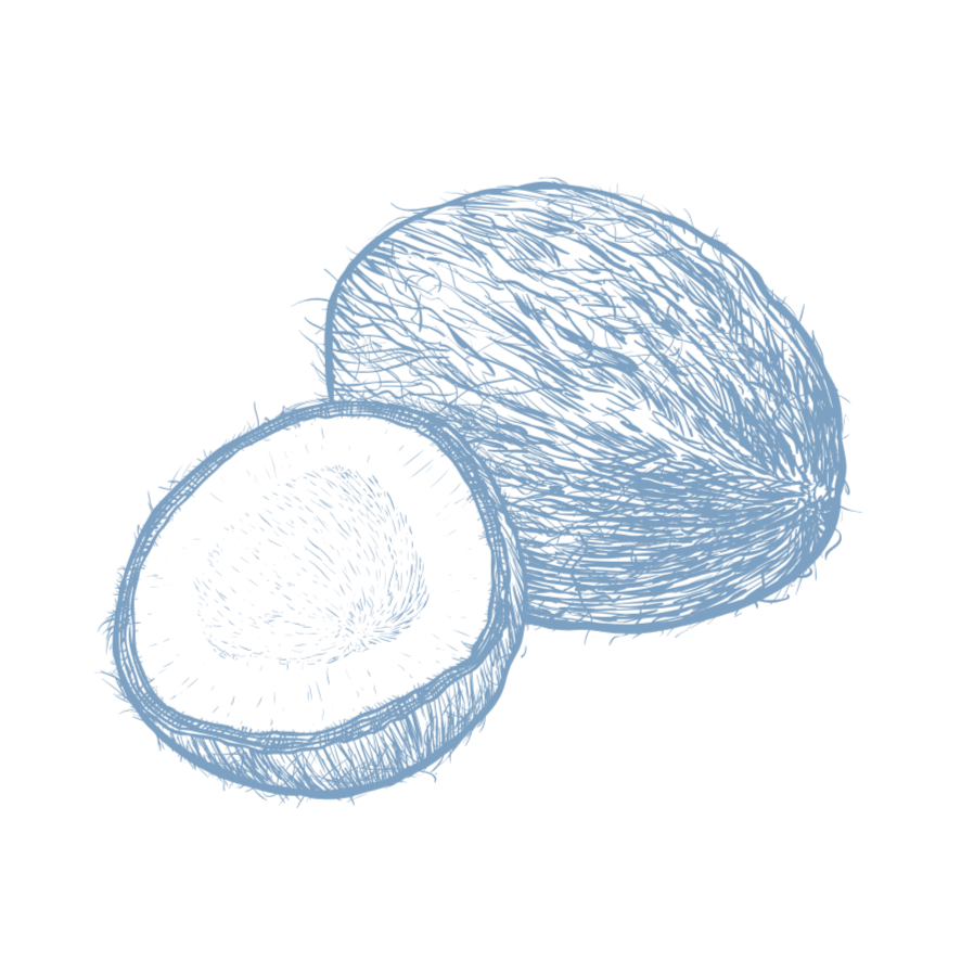 Sketch-style coconuts in blue.