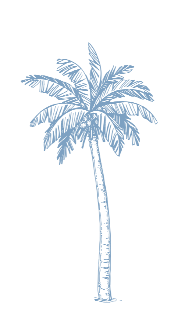 Sketch-style palm tree in blue.