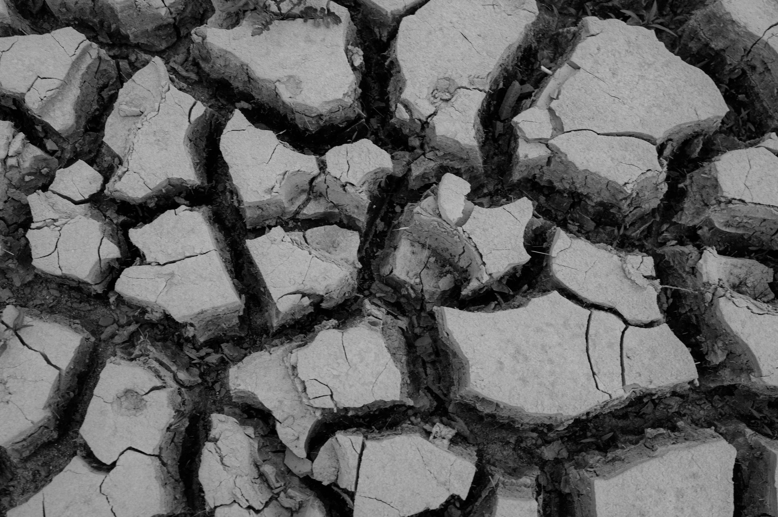 OhhHalla_Niklas_Desert-93.jpg