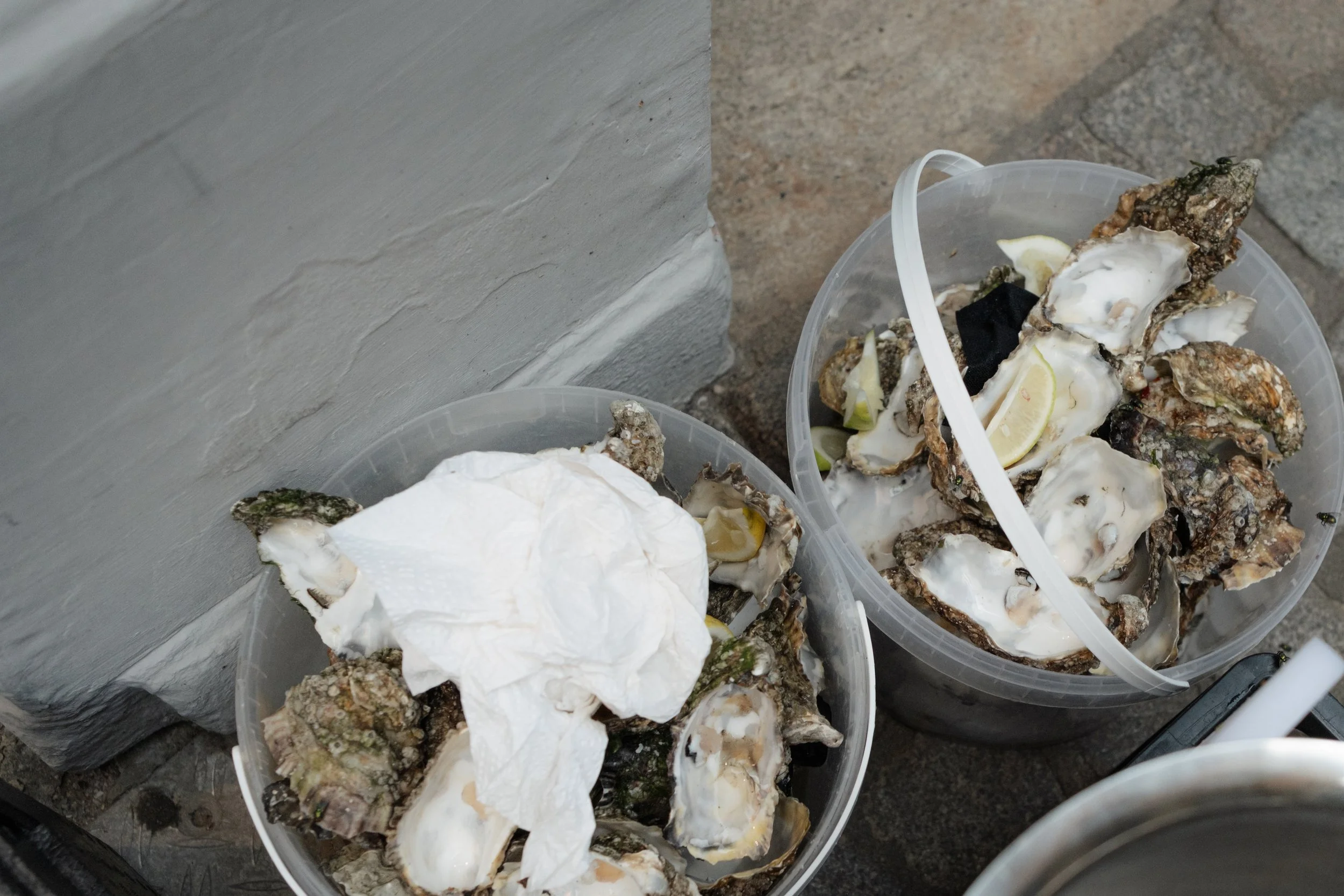 OhhHalla_Oyster-97.jpg